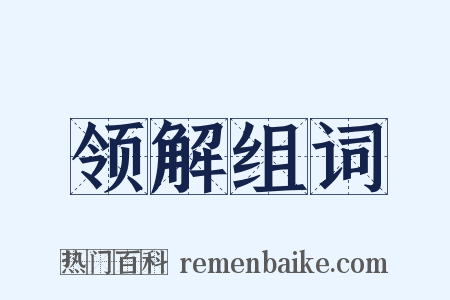 领解组词是什么意思的图片